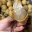 Bòn bon loại 1, sản phẩm an toàn